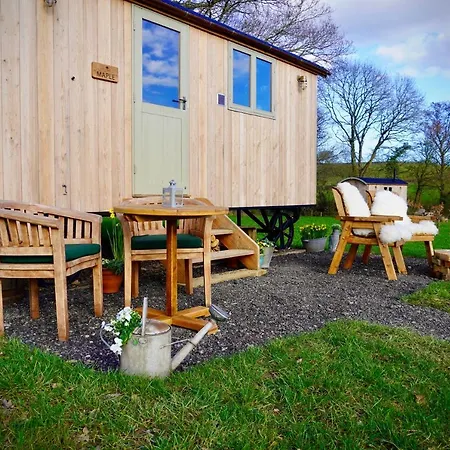 Little Ash Glamping - Luxury Shepherd'S Huts Newton Abbot Buitenkant foto