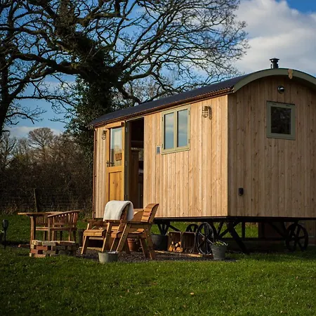 Little Ash Glamping - Luxury Shepherd'S Huts Newton Abbot Buitenkant foto