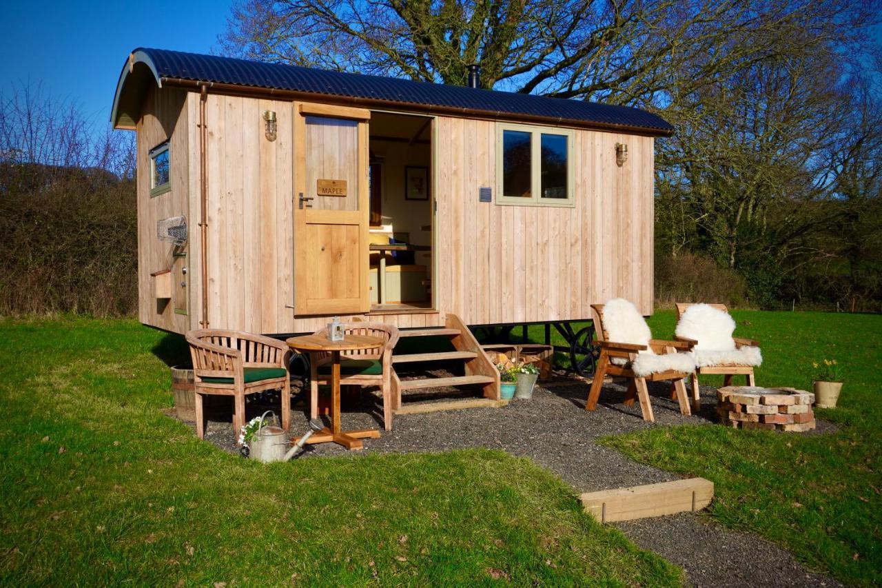 Little Ash Glamping - Luxury Shepherd's Huts Newton Abbot