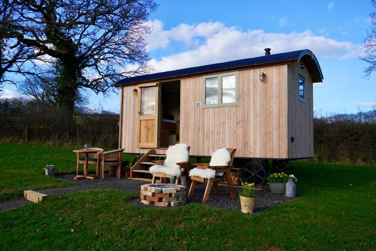 Little Ash Glamping - Luxury Shepherd's Huts Newton Abbot