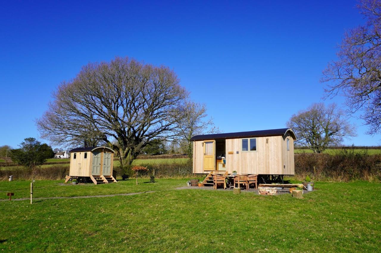 Holiday home Little Ash Glamping - Luxury Shepherd's Huts